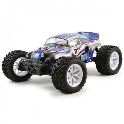 FTX BUGSTA RTR 1/10TH...
